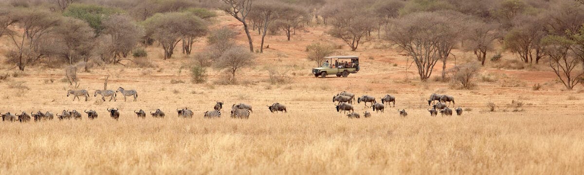 African safari tanzania