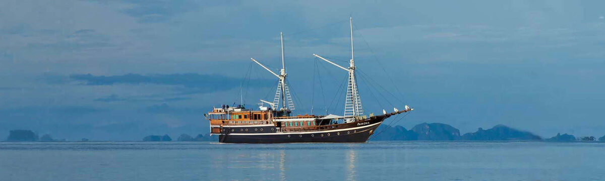 Aurora vessel