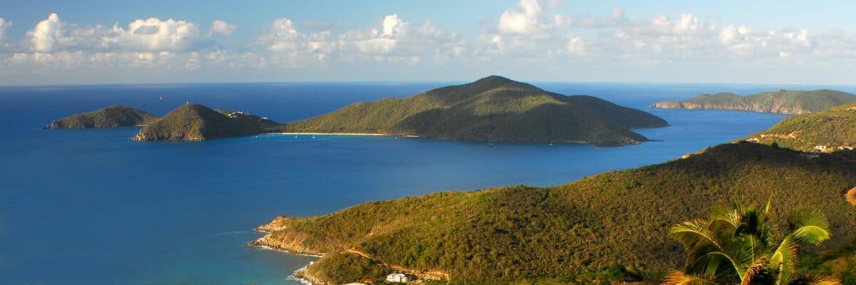 Bvi header.jpg