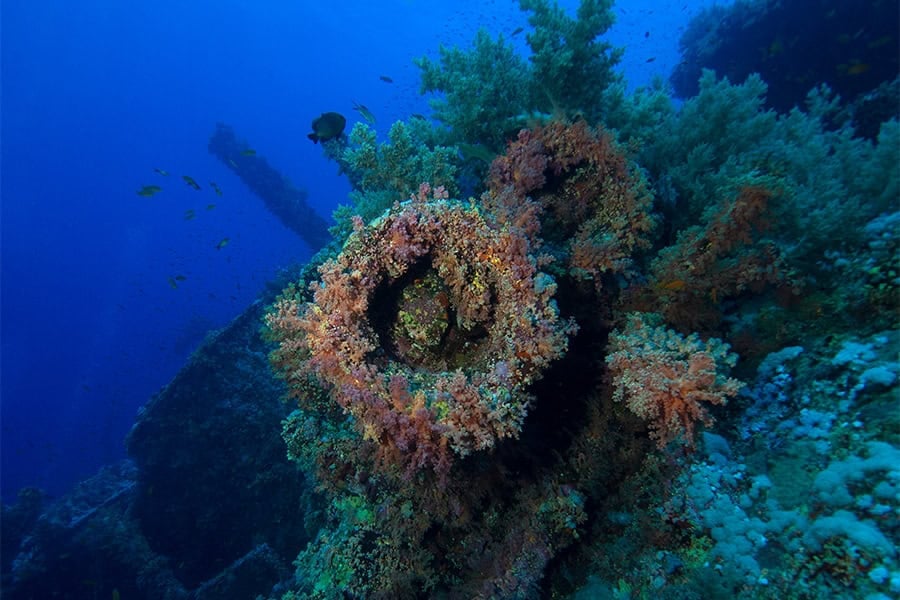 Diving brothers islands.jpg