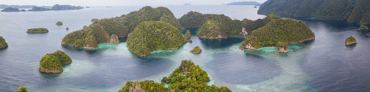 Indonesia header.jpg