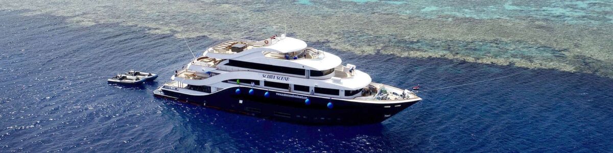 Red sea vessel header.jpg